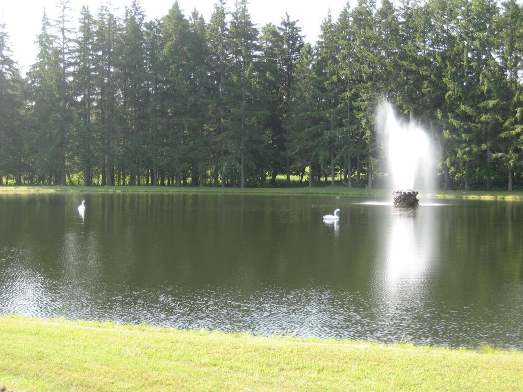 Fountain View Motel Richfield Springs Экстерьер фото
